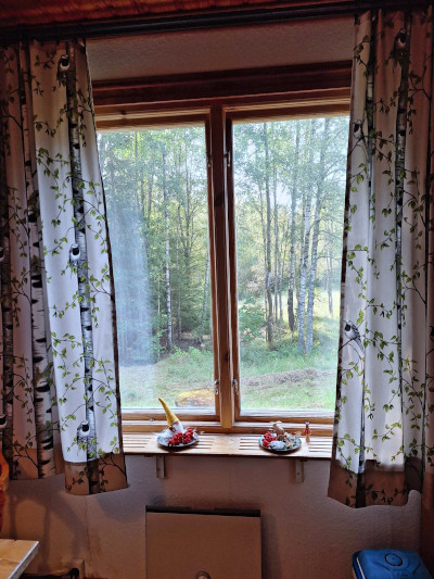 Blick aus dem Wohnzimmerfenster der Stuga